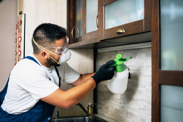 Best Pest Control for Restaurants  in Nogales, AZ