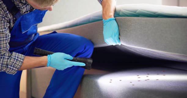 Best Cockroach Control Services  in Nogales, AZ