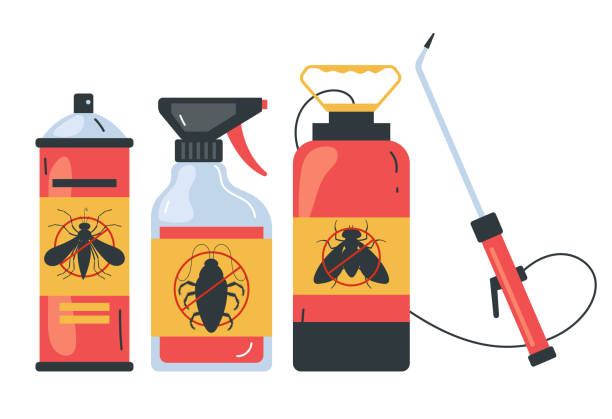 Best Ant Control Services  in Nogales, AZ