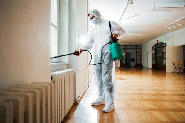 Reliable Nogales, AZ Pest Control Solutions