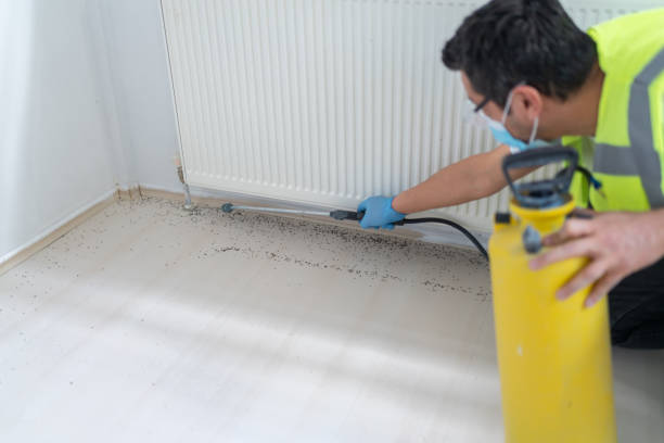 Best Pest Control for Homes  in Nogales, AZ